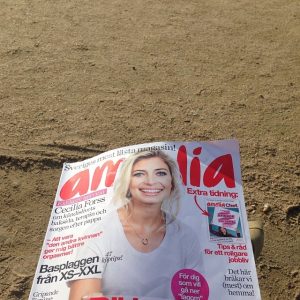 A copy of Amelia magazine
